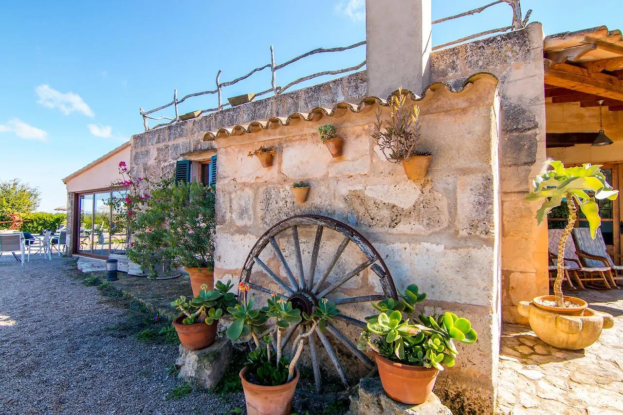 Agroturismo Petit Hotel Son Perdiu - Adults Only Са-Рапита
